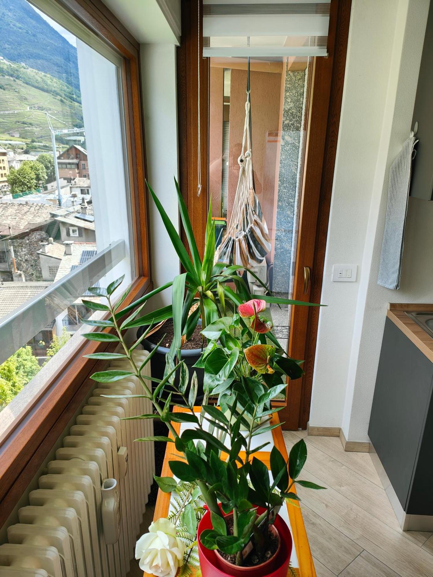 Appartement Alfiumea à Tirano Extérieur photo