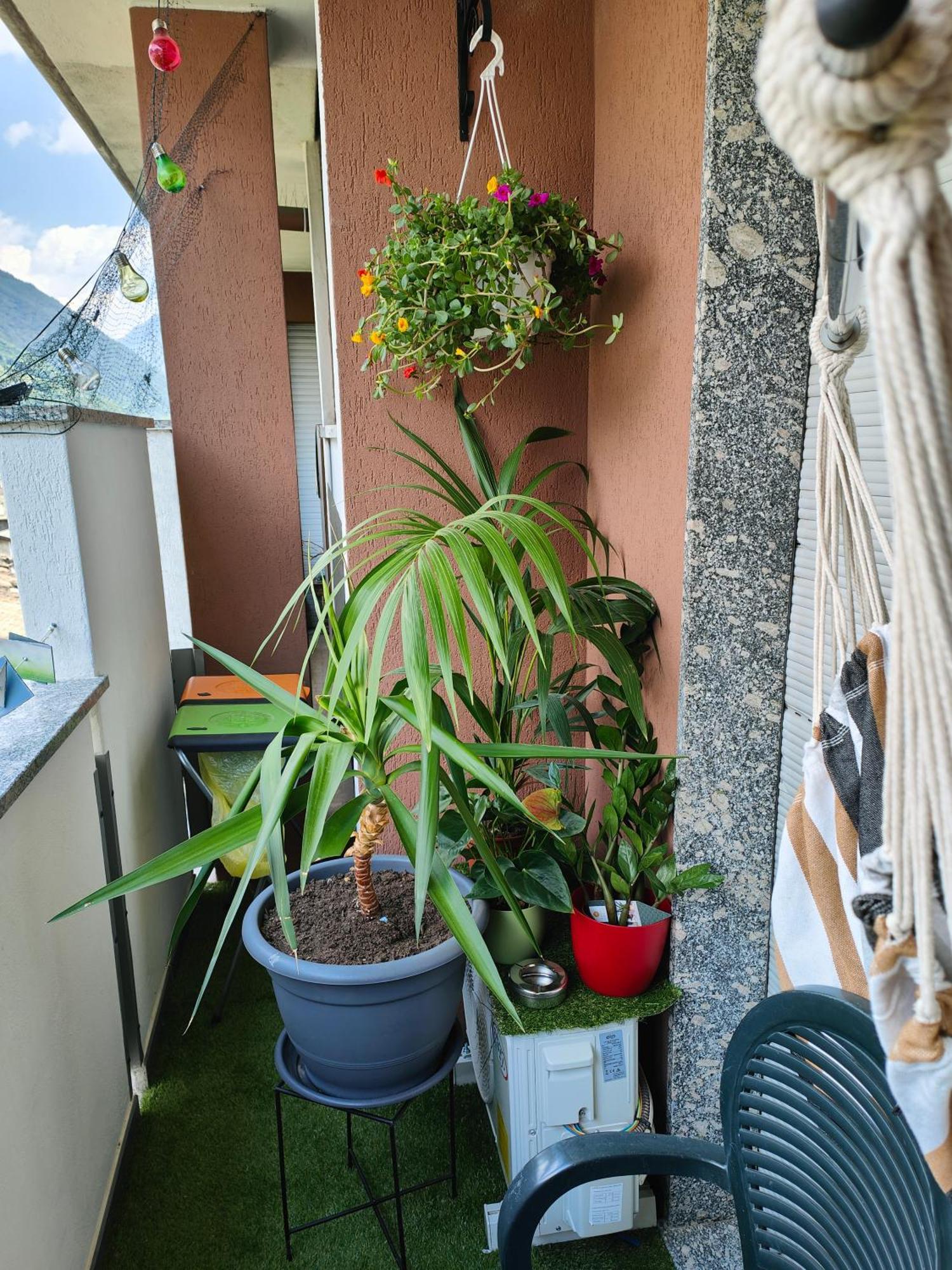 Appartement Alfiumea à Tirano Extérieur photo